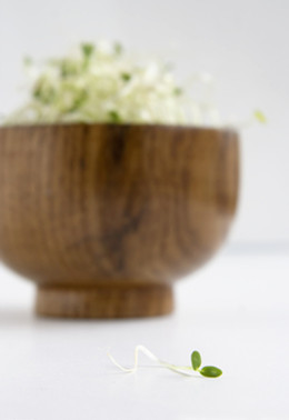 吃什麼蔬菜減肥 豆芽芹菜胡蘿卜天然減肥藥