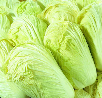 冬天吃什麼菜減肥 2款白菜食譜營養瘦身快