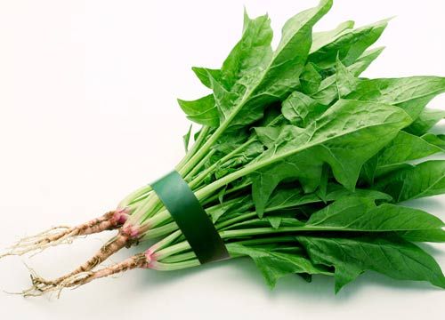 自制蔬菜瘦腿膜 塑造纖細美腿