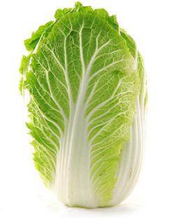 大白菜熱控減肥法 最實惠的平民減肥蔬菜