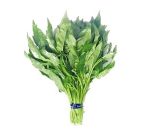 蔬菜瘦腿食譜 芹菜和圓白菜一起吃練美腿