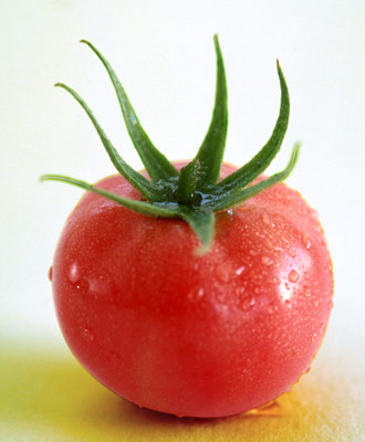 吃西紅柿減肥的10大好處