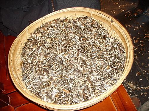 減肥零食 正確吃瓜子也能助減肥