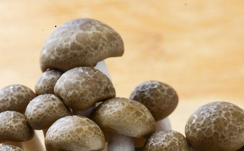 蘑菇可以減肥嗎 蘑菇減肥食譜有哪些 蘑菇怎麼吃可以減肥