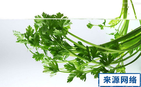 最減肥的蔬菜 吃什麼蔬菜能減肥 哪些蔬菜能減肥