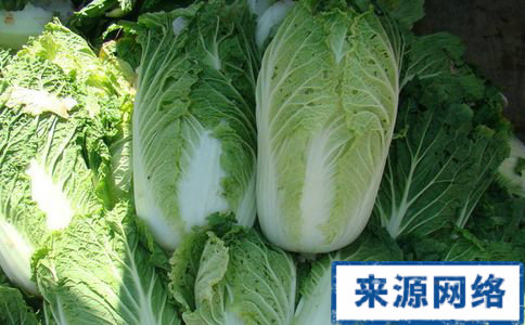吃白菜減肥嗎 白菜怎麼吃減肥 白菜減肥的方法