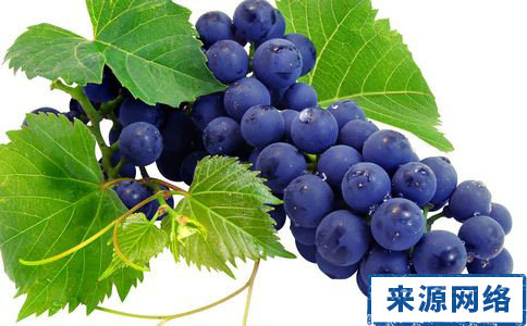吃水果可以減肥麼 減肥有什麼辦法 水果減肥會反彈麼