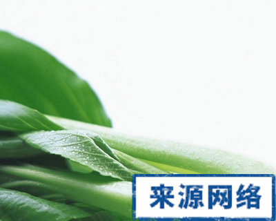 白菜減肥法 白菜如何減肥 白菜怎樣減肥