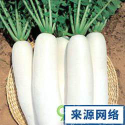 哪些蔬菜瘦身 哪些蔬菜清腸 哪些蔬菜能減肥
