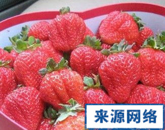 減肥冠軍食物 瘦臉食物 吃什麼瘦背 吃什麼瘦腿