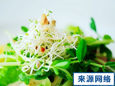 生菜沙拉 冬季減肥食譜 冬季吃什麼減肥 減肥果蔬