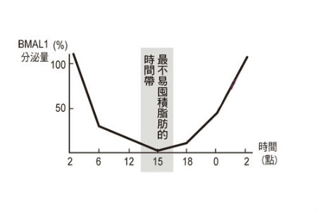 了解脂肪囤積時間段 合理安排飲食輕松享瘦