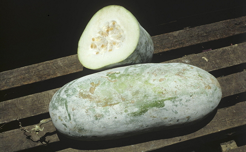 一周營養晚餐減肥食譜 月瘦15斤 一周晚餐減肥食譜 晚餐怎麼吃可以減肥 減肥晚餐注意事項