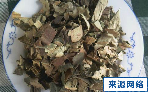 干荷葉冬瓜皮助減肥嗎 減肥吃什麼 如何減肥