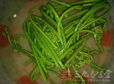 即使蕨菜的食用好處有這麼多