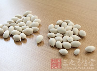 白果皮含有毒素