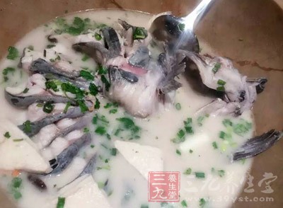 魚湯變白才是最好的魚湯嗎