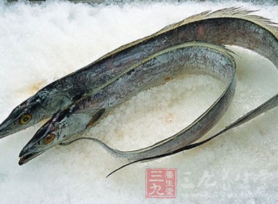 中醫認為,帶魚性味甘、溫,具有補益五髒 中醫認為,帶魚性味甘、溫,具有補益五髒