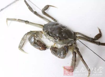 螃蟹,蔥,姜,料酒,醋,糖,生抽,鹽,高湯 螃蟹,蔥,姜,料酒,醋,糖,生抽,鹽,高湯