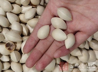 白果的功效非常多,經常食用白果 白果的功效非常多,經常食用白果