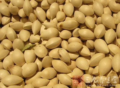 中西醫對白果的認識 中西醫對白果的認識