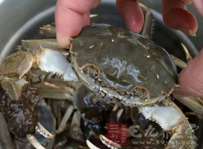 螃蟹含有豐富的蛋白質、微量元素等營養