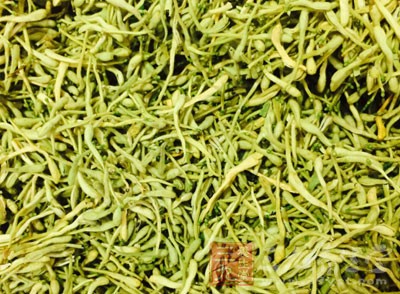 金銀花味甘、性寒，既能清裡熱，又能散表熱