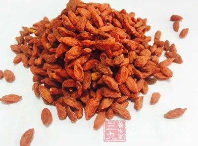 枸杞子有很多都喜歡，常與菊花一起泡水喝