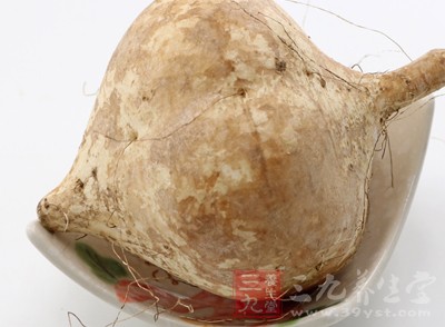 地瓜在我們的生活中可謂是比較長常見的一種食物了 地瓜在我們的生活中可謂是比較長常見的一種食物了