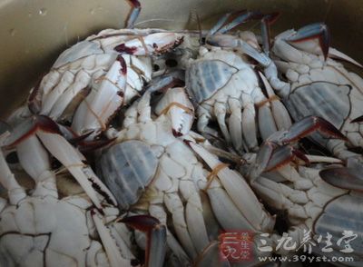 食用的椰子蟹要處理干淨,不應食用生蟹 食用的椰子蟹要處理干淨,不應食用生蟹