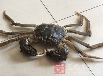 河蟹+香菇：易引起結石症狀