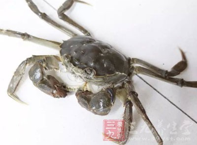 河蟹也叫螃蟹或者毛蟹，屬於名貴淡水產品
