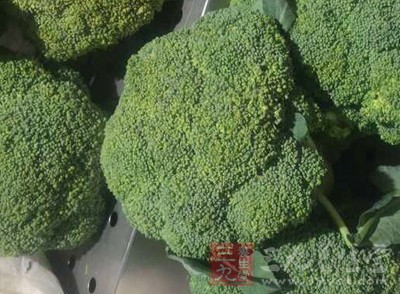 西蘭花是抗癌頭號功臣 西蘭花是抗癌頭號功臣