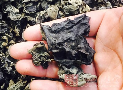 吃黑木耳中毒可謂是一件極為罕見的事 吃黑木耳中毒可謂是一件極為罕見的事