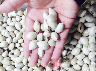 白果的好處和壞處 白果的好處和壞處