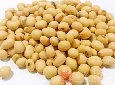 豆科大豆屬，俗稱黃豆