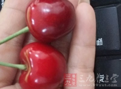 櫻桃的種子被壓碎，咀嚼，或者只是輕微的破損