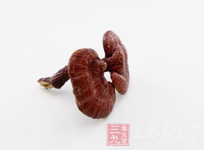 靈芝具有調節血糖、增強人體免疫力 靈芝具有調節血糖、增強人體免疫力