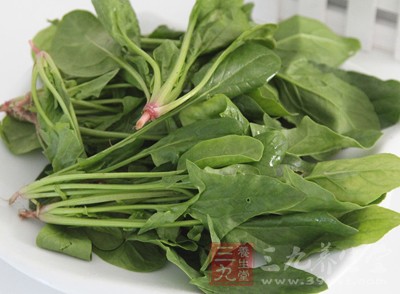 綠葉菜、水果不能烤 綠葉菜、水果不能烤