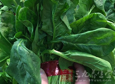 小編建議大家少食用動物內髒、菠菜、馬鲛魚等