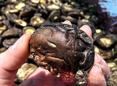 嘔出來的東西雞吃了以後當場就死了