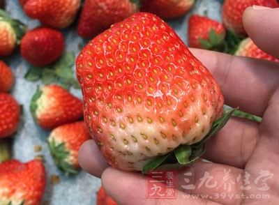 草莓、香瓜、蕃茄、小麥