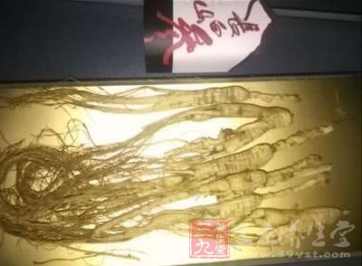 如果每天吃5克山參，大約在1000至2000元