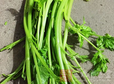 芹菜在歐洲地區較常被視為過敏食物