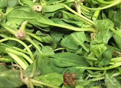 菠菜可促進胃和胰腺分泌，增食欲，助消化