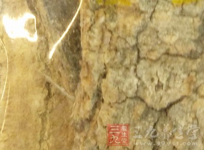 涼喝杜仲雄花茶，口感更加清澈、甘醇