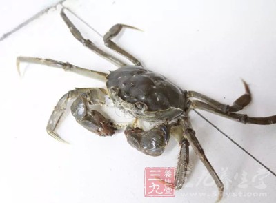 溪蟹當中含有很多寄生蟲