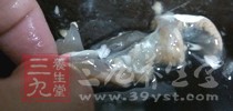 一定要確認這種螃蟹是經過正規處理好的