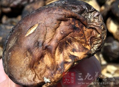 蘑菇的食用方法和禁忌事項