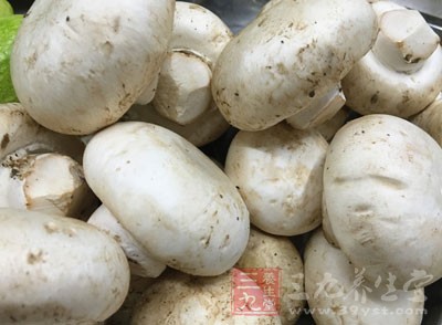 蘑菇是一種我們生活中經常吃的食材